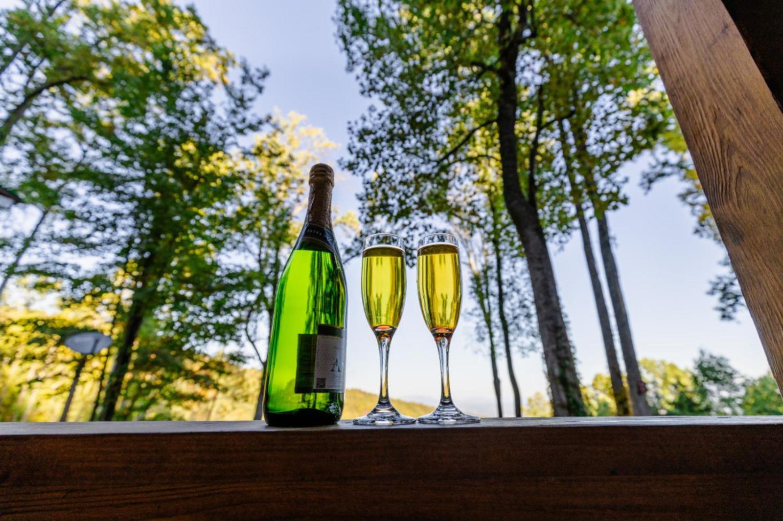 Heavenly Heights By Ghosal Luxury Lodging Sevierville Eksteriør bilde